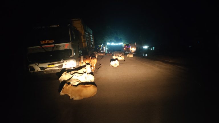 पसान — सड़क पर बैठे मवेशियों से बनी रहती है दुर्घटना की आशंका ,हाईकोर्ट के आदेश को महीनों गुजरे ना कमेटी का पता ना कड़ाई का ग्रामीण क्षेत्रों में  *सचिव मस्त जनता पस्त *