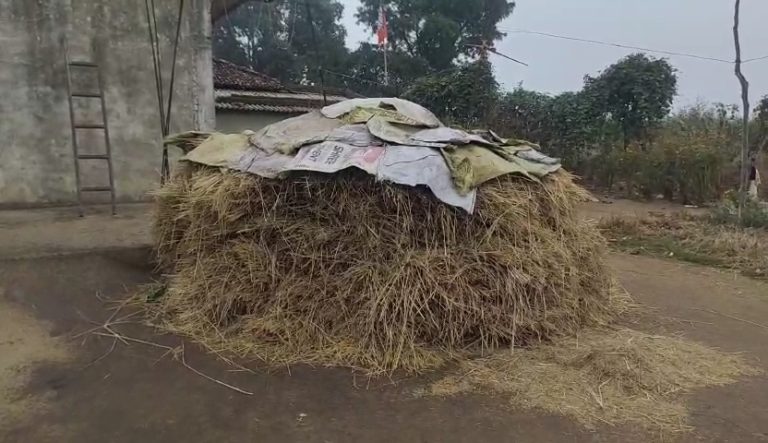 पसान :: बदला मौसम हुई बारिश किसानों की मुसीबत बढ़ी