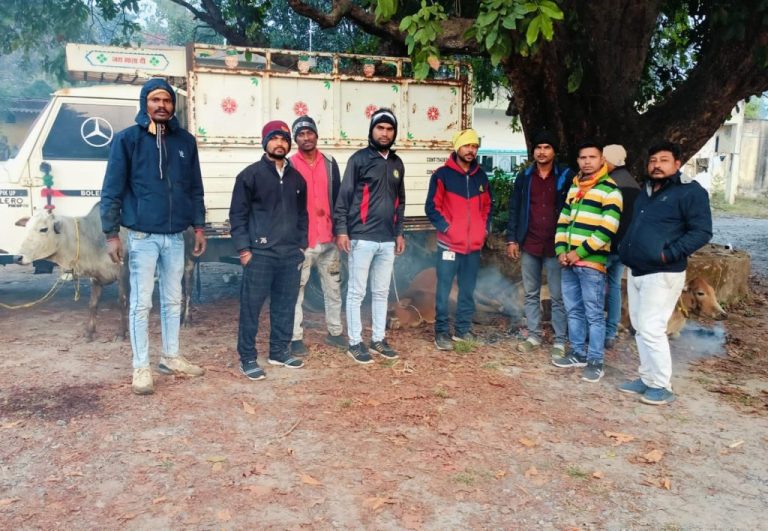 स्थानीय लोगों की सूझबूझ से गौ- तस्करी की कोशिश नाकाम, गौ-रक्षकों की मदद से पुलिस ने पकड़े 12 गाय समेत एक पिकप, 2 गौ कि हुई मौत..