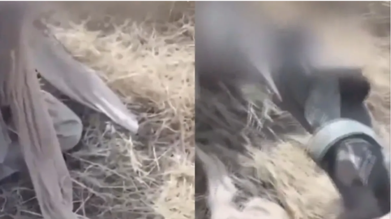 छत्तीसगढ़ में महिला कॉन्स्टेबल पर हमला, खनन विरोधी हिंसा के दौरान फाड़े कपड़े;