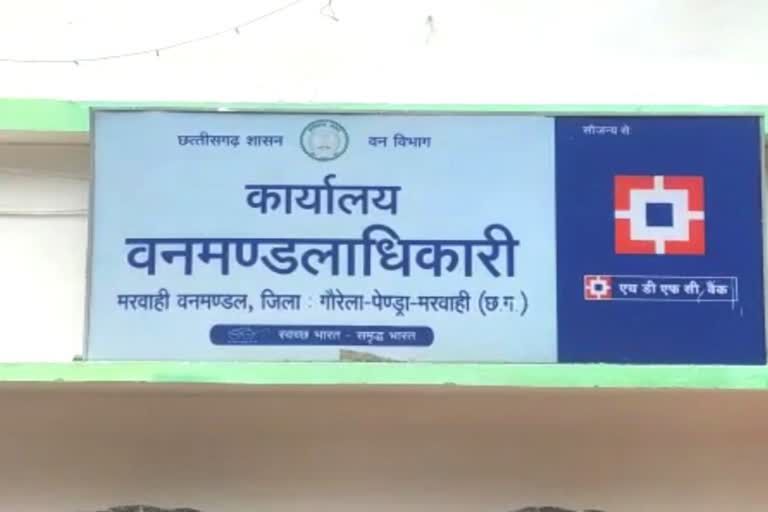 वन रक्षक राजेश पंकज का तबादला: लकड़ी तस्करी आरोपों पर कार्रवाई या लीपापोती?