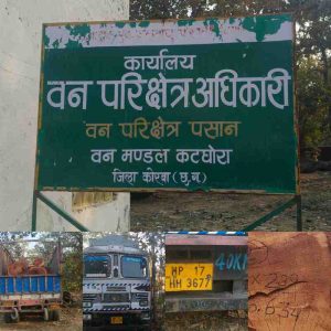 फिल्मी अंदाज में पीछा कर जब्त किया गया लकड़ी तस्करी का ट्रक