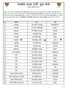 हिमांशु पाण्डेय जिला उपाध्यक्ष कोरबा 