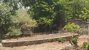Pasan school rangmanch 